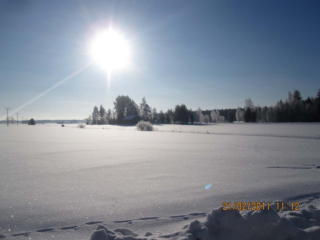 Photo by Jari Vehmaa