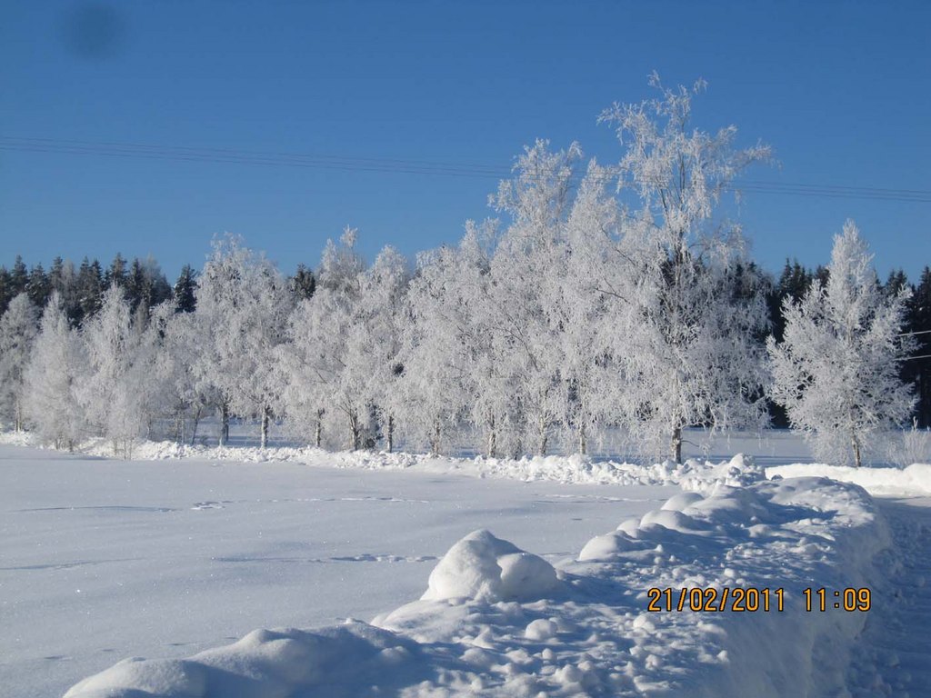 Photo by Jari Vehmaa